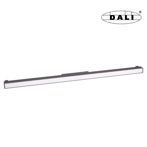 M0002-dali.jpg
