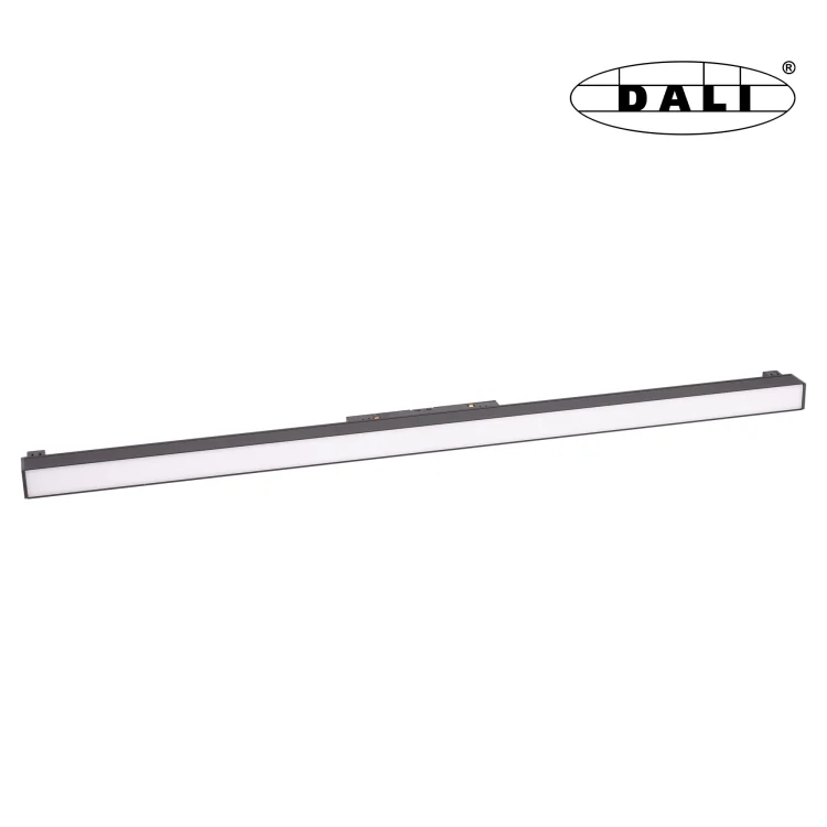 M0002-dali.jpg