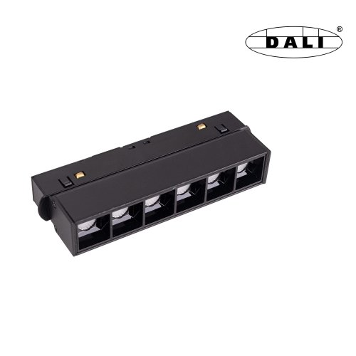M0003-dali.jpg