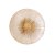 Maxlight W0355 Kinkiet Allure 1L Champagne Glass
