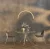 trio arc-p0521-maxlight-lampa wiszaca.webp