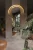 trio arc-w0336-maxlight-kinkiet.webp