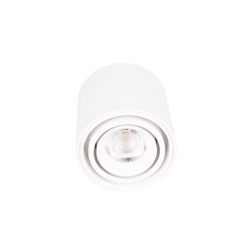Maxlight C0256 Lampa Sufitowa Fix 6W Biała