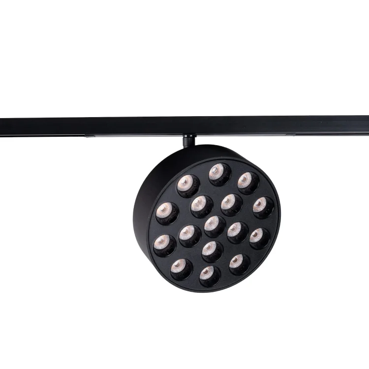 MAXLIGHT N0012Z raster 12W Czarny okrągły 2700-5000K Zigbee- MICRO11