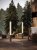 gardenia-mała-antracyt-F0065.jpg