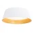 maxlight-c0283-fabio.webp