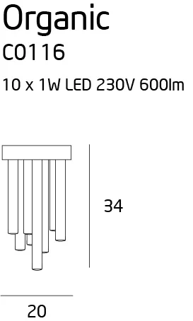 organic-C0116.jpg