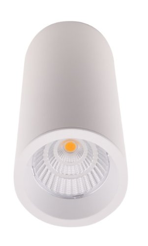 Maxlight Long C0153 Lampa Sufitowa/Plafon Okrągły Biały