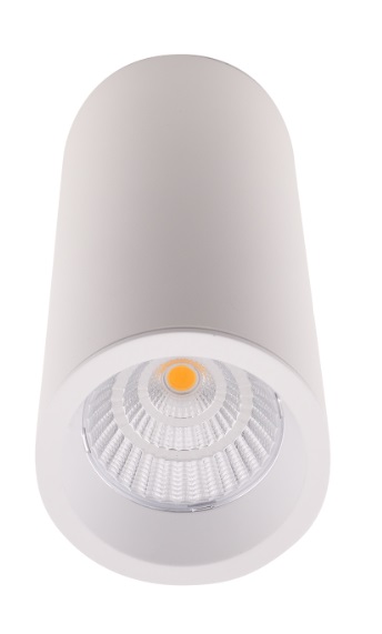 Maxlight Long C0153 Lampa Sufitowa/Plafon Okrągły Biały