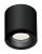 Maxlight Form C0216 Lampa Sufitowa Czarna Ip65