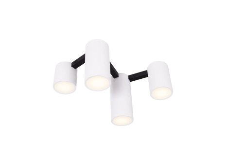 maxlight-laxer-c0228.jpg