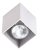 Maxlight Pet Square C0082 Plafon Biały